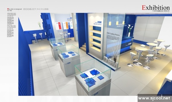 DSM��װչ��չʾ���