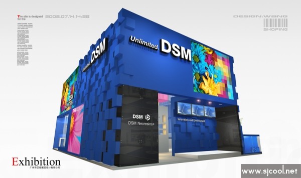 DSM��װչ��չʾ���